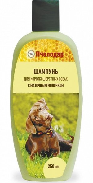 Шампунь Пчелодар для собак короткошерст. с маточным молочком 250мл*25