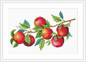 Канва с рисунком Урожай яблок 30*40см