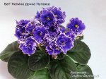 Ват - Папина дочка Пуговка