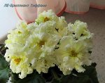 ЛЕ - Бриллиант Тиффани