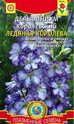 Дельфиниум королевский Ледяная королева 0,05г Плазма