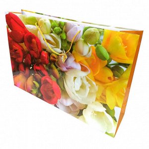 Пакет ламинированный "Цветы" размер 62*42*15см