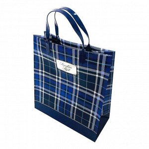 Пакет сумка размер 23*26см "Sunshine style" синий