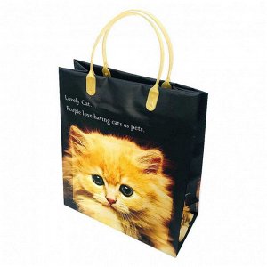Пакет сумка размер 23*26см "Котенок"