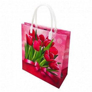 Пакет сумка размер 23*26см "Яркие тюльпаны"