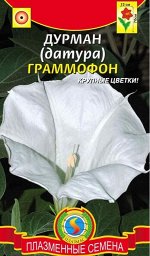 Дурман (Датура) Граммофон 0,3г Плазмас