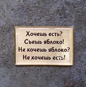 Магнит "Хочешь есть? Съешь яблоко! Не хочешь яблоко? Не хочешь есть!" (Медь, M, H 35 мм, L 52 мм)