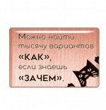 Магнит «Можно найти тысячу вариантов «как», если знаешь «зачем».» (Медь, Эмаль, M, H 35 мм, L 52 мм)
