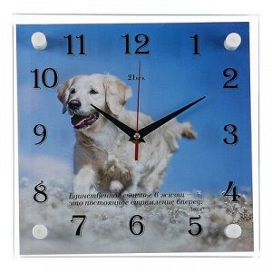 Часы настенные, серия: Животный мир, "Белый лабрадор", 25х25 см