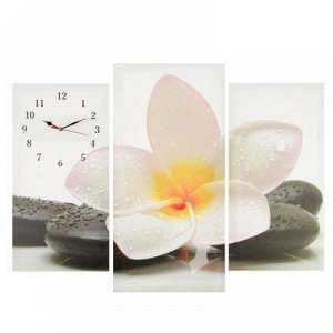 Часы настенные модульные «Цветок на камнях», 60 ? 80 см