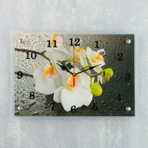 Часы настенные, серия: Цветы, "Белая орхидея", 25х35 см, микс