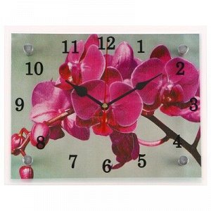 Часы настенные, серия: Цветы, "Розовая орхидея", 20х25 см, микс