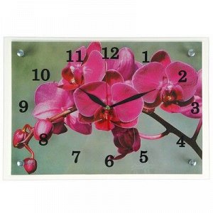 Часы настенные, серия: Цветы, "Розовая орхидея", 25х35 см, микс