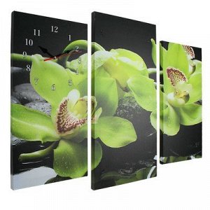 Часы настенные модульные «Зелёные орхидеи на камнях», 60 ? 80 см