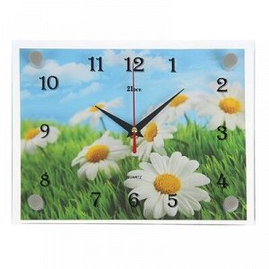 Часы настенные, серия: Цветы, "Ромашки", 20х26 см, микс