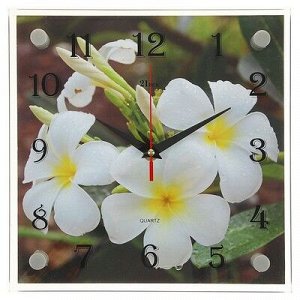Часы настенные, серия: Цветы, "Белые цветки", 25х25 см микс