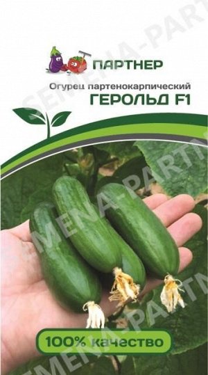 Семена Огурец партенокарпический Герольд F1 5 шт