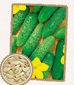 Нежинский ПЧ 10шт НОВИНКА СО огурец