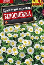 Хризантема Белоснежка 0,1г А