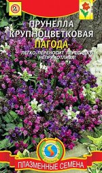 Прунелла Пагода крупноцв. 0,1г Плазм