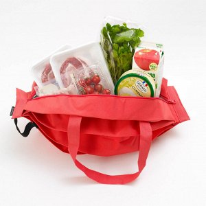 Shupatto cooling bag size М - сумка-холодильник размер М