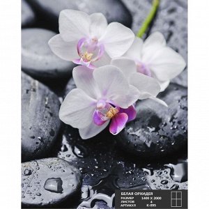 Фотообои К-095 «Белая орхидея» (4 листа), 140 ? 200 см