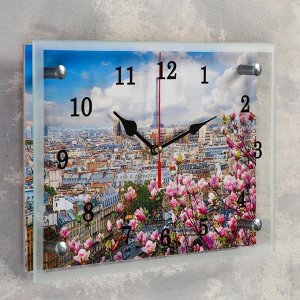 Часы настенные, серия: Цветы, "Париж", 20х30 см