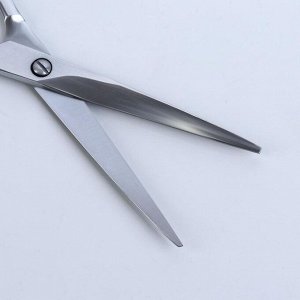 Ножницы, лезвие — 7,5 см, цвет серебряный