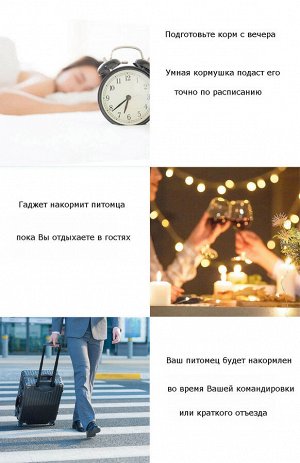 Автоматическая кормушка для животных Xiaomi Petwant F13-L
