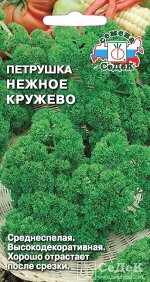 Петрушка Нежное кружево