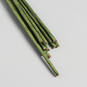 Набор проволоки для флористики d-2 мм, 60 см, 10 шт, зелёный