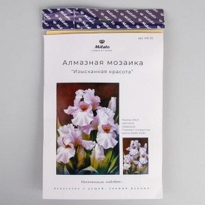 Алмазная мозаика «Изысканная красота» 29,5*20,5см, 24 цвета