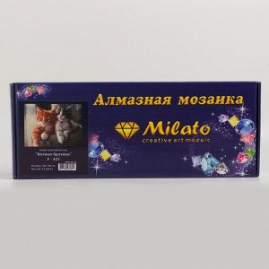 Алмазная мозаика «Котики-братики» 30?40 см, 35 цветов