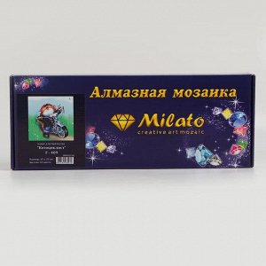 Алмазная мозаика «Котоциклист» 35*35 см, 41 цветов