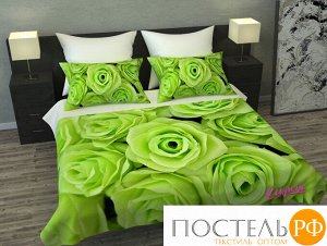 01825-ПК-ГБ-004 Покрывало 3D 'Зеленые розы', Габардин (100% полиэстер), 145х220, , упаковка: ПВХ