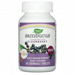 Nature's Way, Sambucus, стандартизированная бузина для детей, 40 жевательных таблеток