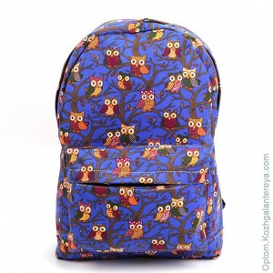 Детский рюкзак РДБ5 синий