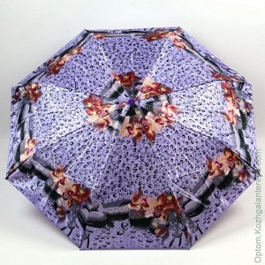 Женский зонт полуавтомат А618-4 многоцветный