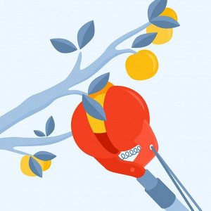 Плодосъёмник на пружине, пластик, с черенком, «Яблоко», цвет МИКС