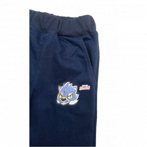 Спортивные штаны 360/9 (т.синие наклейка)