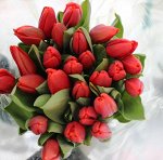 ХИТ! 🌷Сорт Лалибела
