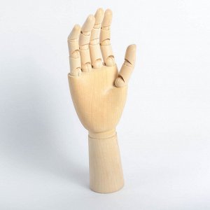 Модель деревянная художественная Манекен "Рука мужская правая" 31 см