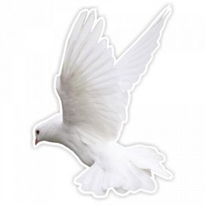 Наклейка Белый голубь