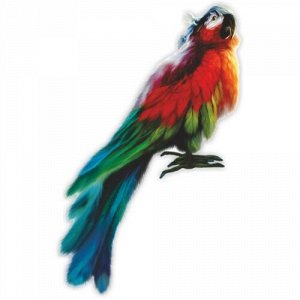 Наклейка Разноцветный попугай