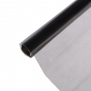 Пленка защитная для фар, 30x50 см, светопропускаемость 40%