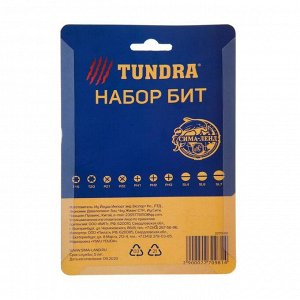 Набор бит ТУНДРА, сталь CrV, PH, PZ, SL, Torx х 50 мм, 10 шт.