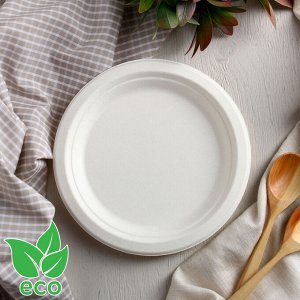 Набор одноразовых тарелок из сахарного тростника ECO, d=17,6 см, 6 шт, цвет белый
