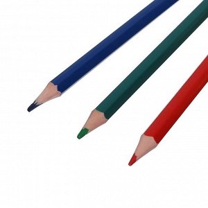 Цветные карандаши 6 цветов ZOO, пластиковые, шестигранные