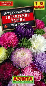 Астра Гигантские башни, смесь окрасок