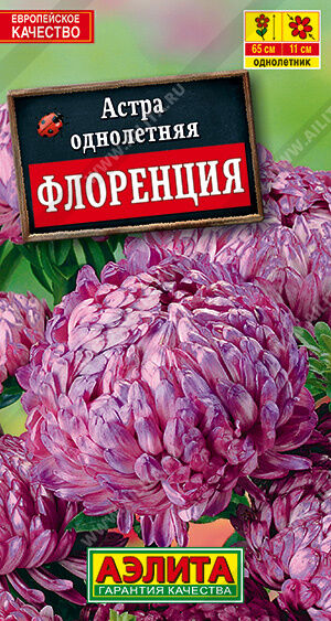 Астра Флоренция